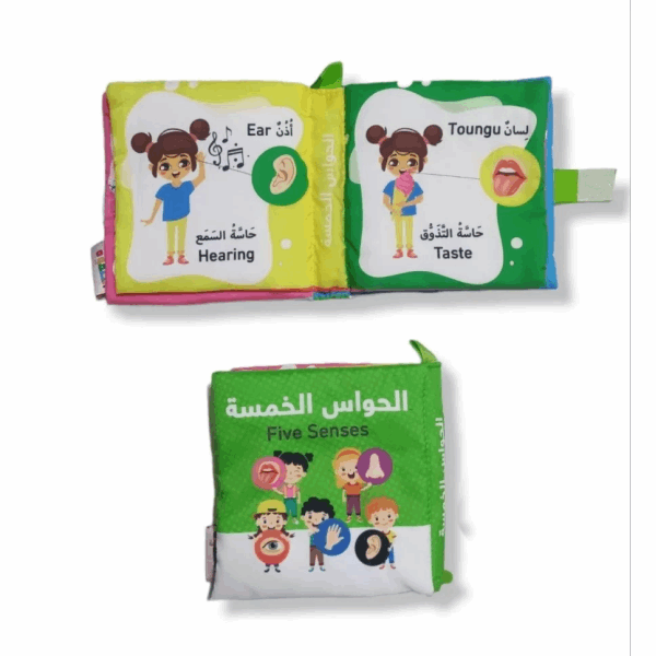 تنمية المهارات كتاب قماش الحواس الحواس