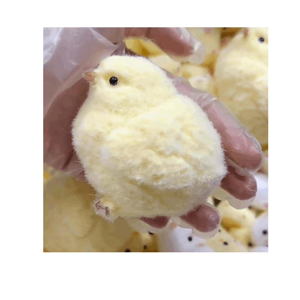 العاب سكوشي كتكوت