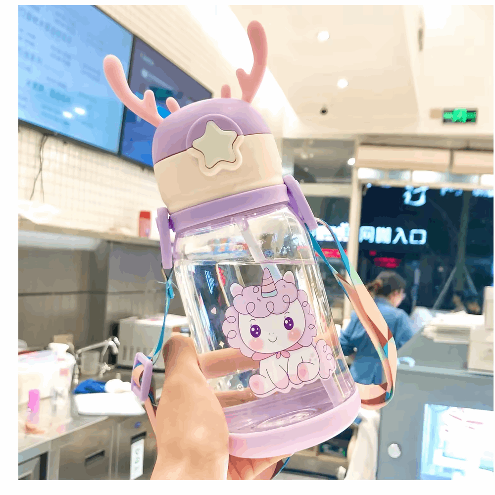 Flasks Ay-1-269 500ML,Purple